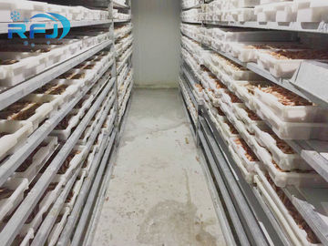 comprar Pequeño paseo de la ráfaga de la placa del túnel del atún fresco en el panel frío del contacto de Iqf de los mariscos industriales del congelador online manufacture
