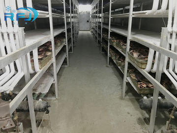Cámara fría industrial del aislamiento de calor temporeros de -60~-0 grados para el almacenamiento de la carne/de los pescados