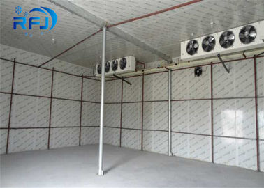 Refrigerador comercial de la cámara fría 380V/3P/50Hz del congelador que camina para el marisco