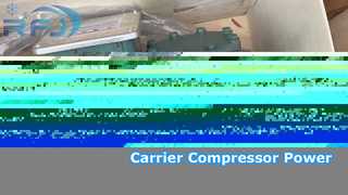 Carrier 06EF299300 Compresor de pistón semihermético